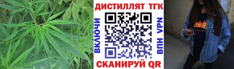 Купить закладки  Мончегорск  Дистиллят ТГК THC oil 